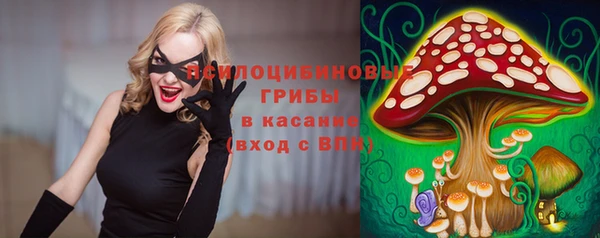 молекула духа Коряжма