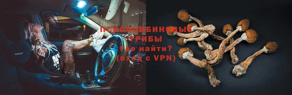 молекула духа Коряжма