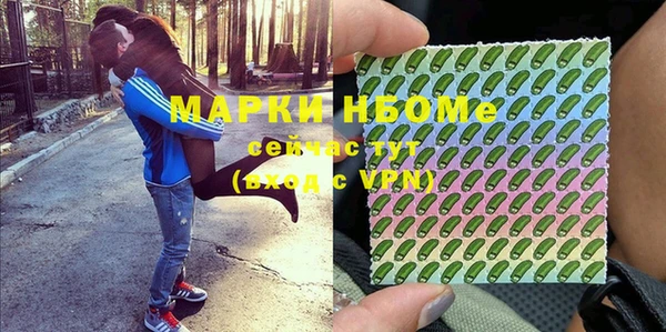 молекула духа Коряжма